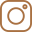Instagram Icon